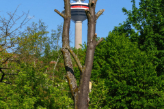 Fernsehturm_1600px