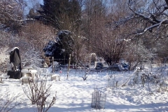 Garten-im-Winter