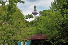 IMG_3599_2